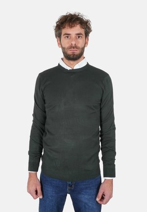 PULLOVER GIROCOLLO - Maglione - verde scuro