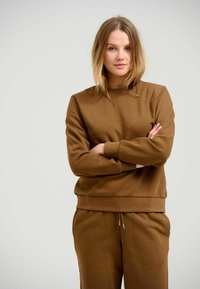 Επιλέχθηκε, brown