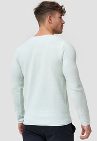 Lys grøn, langærmet sweater med et tekstureret strikmønster. Har en rund halsudskæring og en tætsiddende silhuet, vist fra ryggen.