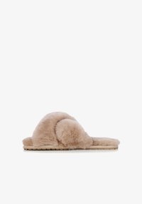 Wybrany, camel