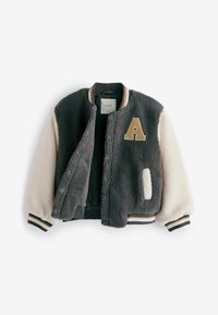 Next REGULAR FIT - Bomber-jakk - grey