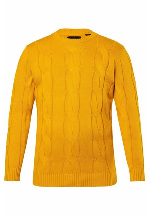 Pullover in lana gialla brillante con lavorazione a trecce, maniche lunghe e colletto, polsini ed orlo a coste, esposto su uno sfondo bianco.
