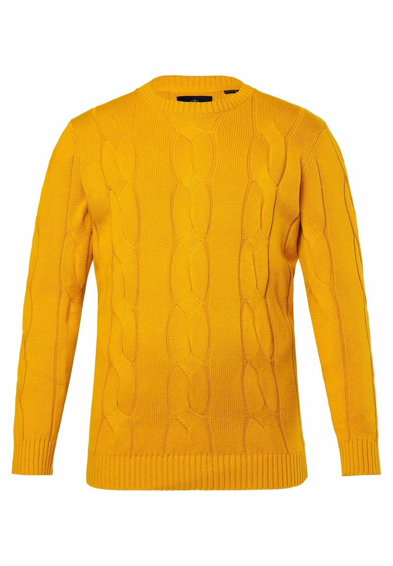 BOSTON PARK Strickpullover curry/gelb