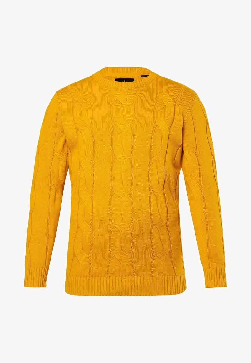 BOSTON PARK Strickpullover curry/gelb