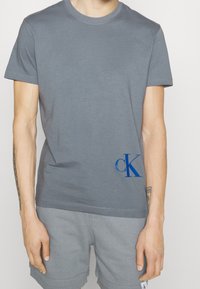 Grå bomullströja med korta ärmar, rund hals och blå "ck"-logotyp på nedre framsidan. Slät textur och normal passform.