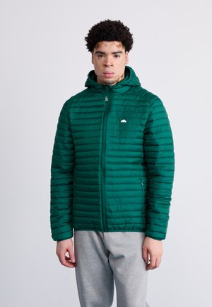 PALLOCHI PADDED JACKET - Winterjas - dark green