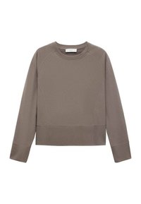 Športni pulover - brown