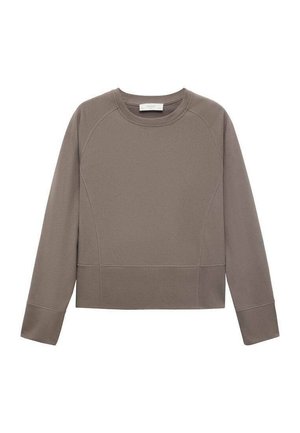 Felpa marrone a maniche lunghe con collo a girocollo, maniche raglan e un design corto. Realizzata in materiale morbido con dettagli di cucitura visibili.
