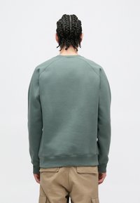 Žalias džemperis su apvalia iškirpte, raglano rankovėmis ir ribotais rankogaliais, pagamintas iš minkštos medžiagos. Nugaroje yra lygi tekstūra.