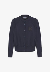 Pasirinkta, sky captain