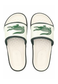 Chanclas deslizantes en verde y blanco con un logo de cocodrilo, fabricadas en material sintético suave con una plantilla texturizada y ribetes en contraste.