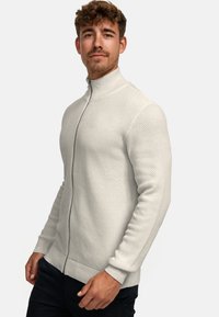 Man met kort krullend haar, gekleed in een licht gestructureerde trui met rits en donkere broek, staand tegen een effen witte achtergrond.