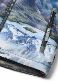 Molo CASTOR - Vinterkåpe / -frakk - mottled blue