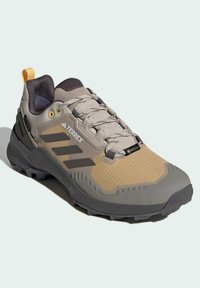 adidas Terrex TERREX SWIFT R3 GORE-TEX® - Hiking shoes - beige charcoal semi spark