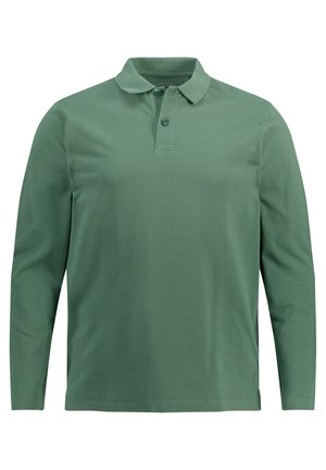 Langärmliges Poloshirt in gedämpftem Grün, aus weichem Material, mit klassischem Kragen, drei Knöpfen und einem dezenten Logo am Saum.