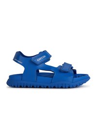 Geox - J SANDAL FUSBETTO BO - Sandaler - royal Miniatyrbilde 1