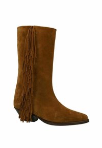 Braune Wildleder-Ankle Boots mit spitzem Zehenbereich, Blockabsatz und langen Fransendetails an der Rückseite. Glatte Textur insgesamt.