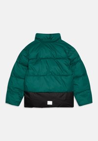 Reima WINTER TEISKO UNISEX - Vinterjakker - deeper green