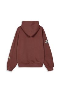 Sudadera con capucha en color óxido oscuro, hecha de una tela suave. Presenta un diseño bordado en la manga izquierda y una gran capucha en la parte posterior.