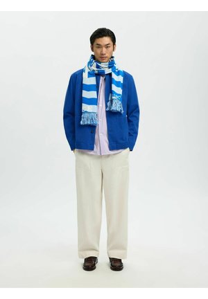 Mees sinise jope, sinise ja valge triibulise salli, heleroosa särgi, kooretooniliste laia säärega pükste ja tumepruunide kingadega, seisab valge tausta ees.