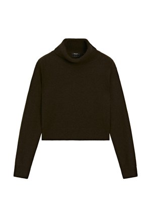 Maglione a collo alto corto in maglia marrone scuro con maniche lunghe, collo, polsini e orli a coste su uno sfondo bianco.