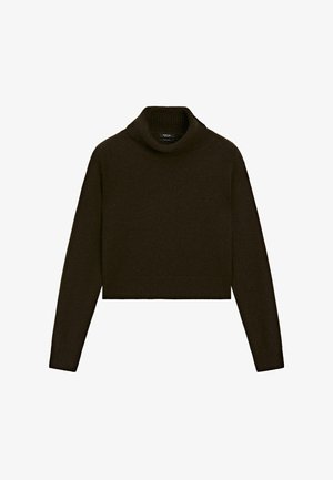 Pull cropped en tricot marron foncé à col roulé, avec des manches longues, un col, des poignets et un ourlet côtelés, sur un fond blanc.