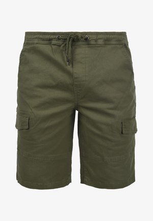 SDHENIK REGULAR FIT - Kratke hlače - dusty olive