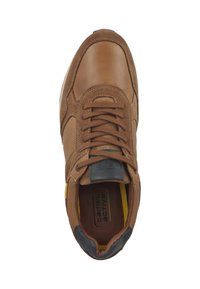 camel active Sneaker low - cognac blau