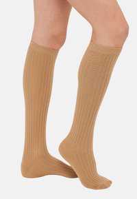2 PACK - Kojinės iki kelių - brown/beige
