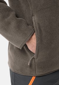 Jack Wolfskin WALDSTEIG FZ  - Fleecejacke - cold coffee