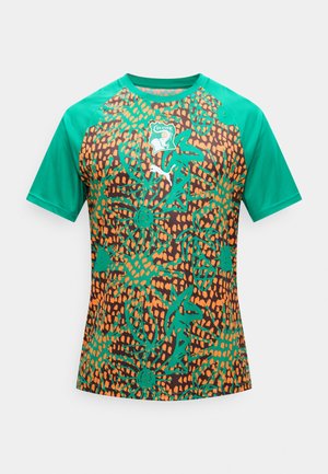 Lyhythihainen jalkapallopaita, jossa vihreät hihat, oranssi- ja ruskeakuvioitu runko sekä Norsunluurannikon vaakuna ja Puma-logo rinnassa.