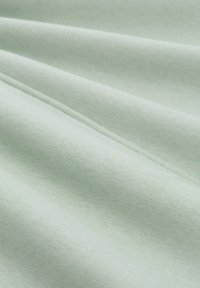 Tessuto verde chiaro con una texture liscia, caratterizzato da leggere pieghe e una finitura opaca e morbida. Nessun motivo o embellimento prominente.