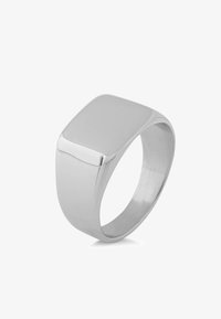 Geselecteerd, silver-coloured