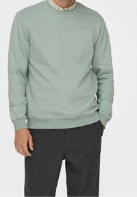 Felpa verde chiaro con scollo rotondo e polsini a costine, indossata sopra una camicia con colletto. Abbinata a pantaloni grigio scuro. Tessuto morbido.