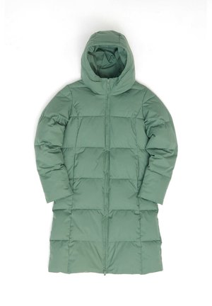Green puffer coat with a hood, featuring a quilted design, front zipper closure, and long sleeves. Smooth texture and knee-length cut.