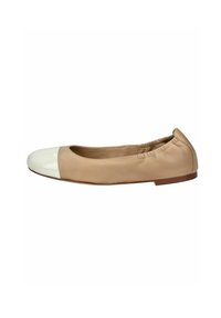 Högl Ballerine - taupe/grigio talpa