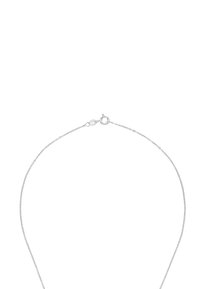 Collana in argento con un design delicato, caratterizzata da piccoli anelli e un gancio a moschettone. La superficie è lucidata per un finish brillante.