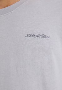 Dickies PLENTYWOOD TEE - Hosszú ujjú felső - ultimate gray
