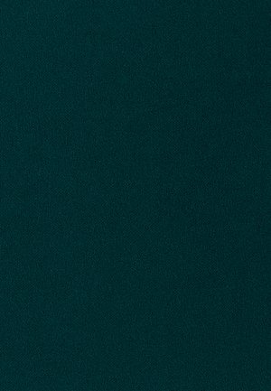 BWLDR, CHASE MAXI DRESS - Vestido ligero - emerald