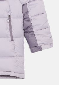 Columbia PIKE LAKE JACKET UNISEX - Winter jacket - lavender pearl/shale purple