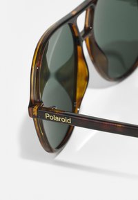 Lunettes de soleil en écaille de tortue avec des verres verts. Monture épaisse et arrondie présentant un logo Polaroid en doré sur la branche noire.