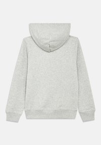 Sweat à capuche gris clair avec une capuche, des manches longues, des poignets et une ceinture côtelés. Tissu lisse, design simple sans motifs visibles.