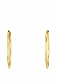 Guldörhängen i form av halssmycken med en slät, polerad yta. Cirkulärt mönster, i medelstorlek, med en enkel stängningsmekanism. Inga utsmyckningar.