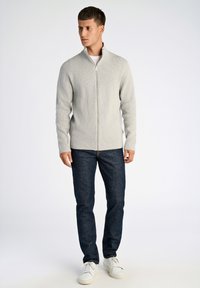 Maglione in maglia grigio chiaro con zip e texture a coste, abbinato a jeans di denim scuro e sneakers bianche. Design semplice e moderno.
