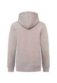 Helles graues Kapuzensweatshirt mit langen Ärmeln, gerippten Bündchen und Saum, glatter Textur, normaler Passform und ohne sichtbare Logos oder Muster.