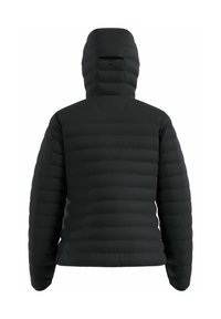 Black quilted puffer jacket with long sleeves and a hood, shown from the back on a white background.