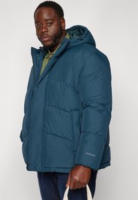 Jack & Jones JJWORLD PUFFER JACKET  - Χειμωνιάτικο μπουφάν - magical forest