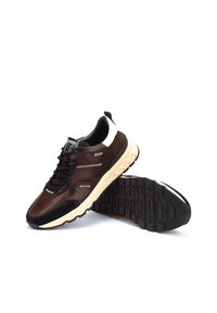 Pikolinos ARANDA - Zapatillas - dark brown