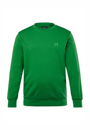 Groene katoenen sweatshirt met een ronde hals, lange mouwen en een klein logo op de borst. Zachte textuur en elastische boorden aan de onderkant.