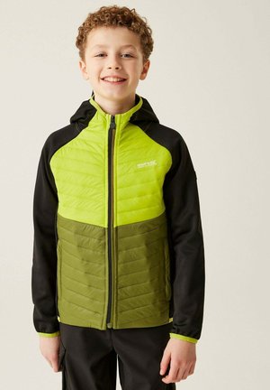 Regatta KIELDERHYBRDVIII - Übergangsjacke - black citron lime